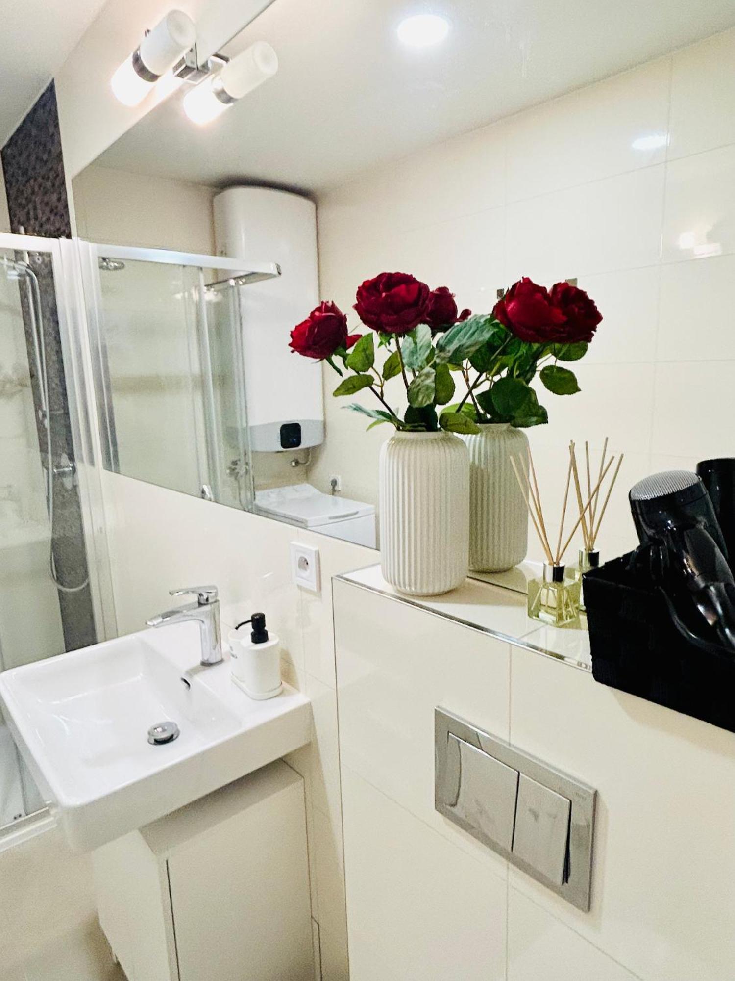 Cozy Design Apartments Right Next To Wenceslas Square プラハ エクステリア 写真