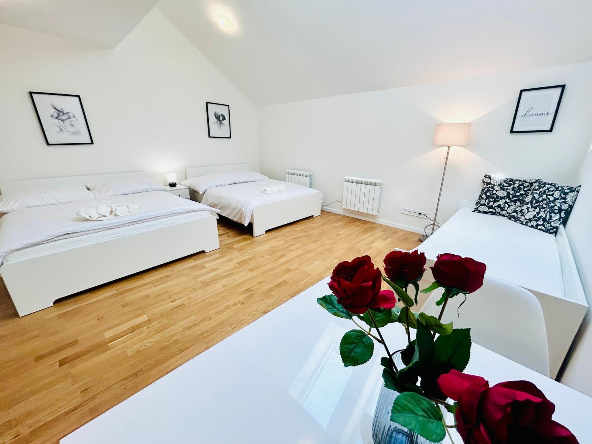 Cozy Design Apartments Right Next To Wenceslas Square プラハ エクステリア 写真